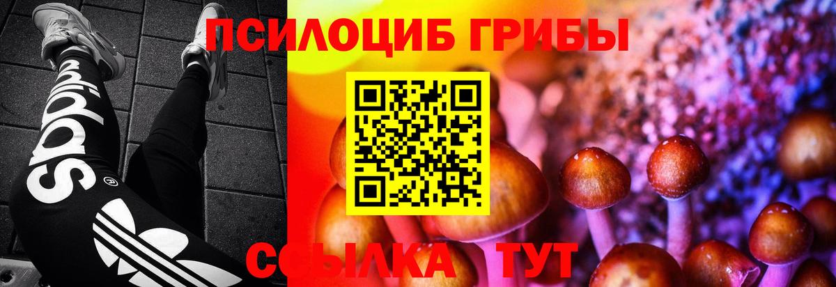 магазин  наркотиков  Вход с VPN  Среднеуральск  Псилоцибиновые грибы мицелий 